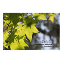 Ecclesiastes 3:1 Scripture Poster posters by cherylarogers Ecclesiastes 3:1 Scripture Poster posters