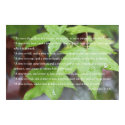 Ecclesiastes 3:1 Scripture Poster (Version B) posters