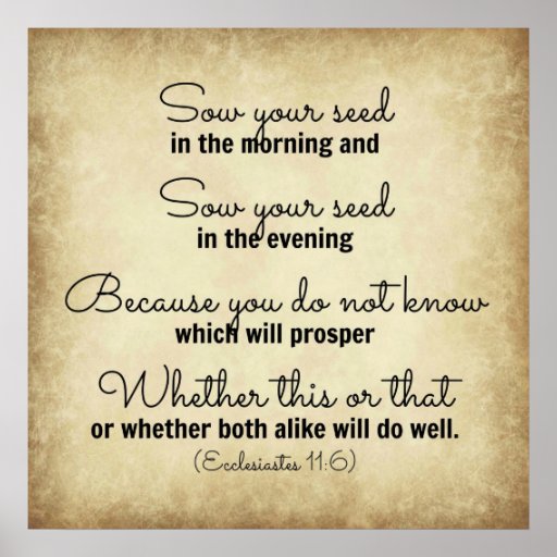 ecclesiastes-bible-verse-sow-your-seed-posters-zazzle