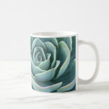 Echeveria coffee mug