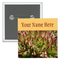 Echeveria pin-back button name tag
