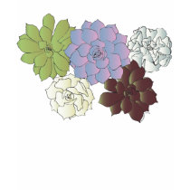 Echeverias t-shirts