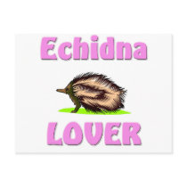 Echidna Lover postcards by AnimalShirts Echidna Lover postcards