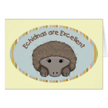 Echidnas are Excellent Cards