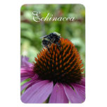 Echinacea and Bee Magnet magnets