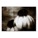 Echinacea Dark Dreams cards