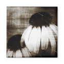 Echinacea Dark Dreams magnets by kklawiter Echinacea Dark Dreams magnets