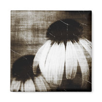 Echinacea Dark Dreams magnets
