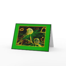 Echinacea digital art greeting card card