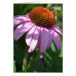 Echinacea Inspiration Card cards