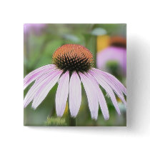 Echinacea - Magnus Pin