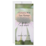 Echinacea - Magnus Rack Cards