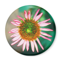 Echinacea Purpurea magnets