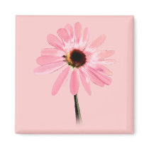 Echinacea purpurea magnets