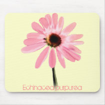 Echinacea purpurea mousepads