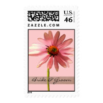 Echinacea purpurea postage by samack Echinacea purpurea postage