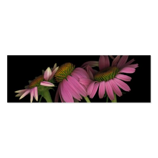 Echinacea purpurea, Profile Card Business Card Templates (back side)