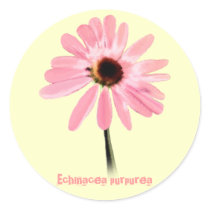 Echinacea purpurea stickers