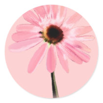 Echinacea purpurea stickers