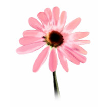 Echinacea purpurea t-shirts