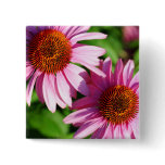 Echinacea Square Pin
