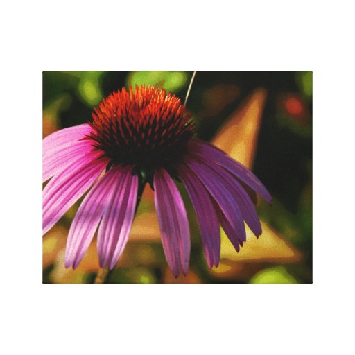 Echinacea ~ Warm Bokeh Wrapped Canvas Print
