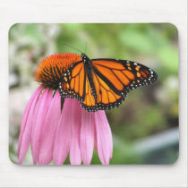 Echinacea with Monarch Butterfly Mousepad