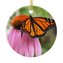 Echinacea with Monarch Butterfly Ornament