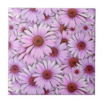 Echinaceas Everywhere tiles
