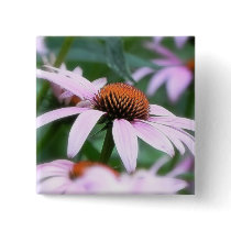 Echinaceas In The Mist Button