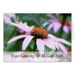Echinaceas In The Mist Greeting Card
