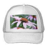 Echinaceas In The Mist Mesh Hats