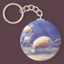 Echinoderm keychains