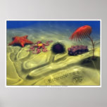 Echinodermata Poster