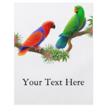 Eclectus Birds Flyer
