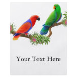 Eclectus Birds Flyer