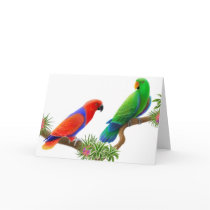 Eclectus Birds Greeting Card