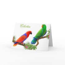 Eclectus Birds Greeting Card