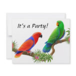 Eclectus Birds Invitation