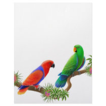 Eclectus Birds Letterhead