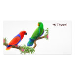 Eclectus Birds Photo Card