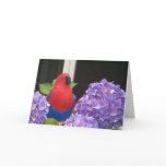 Eclectus Large Note Card