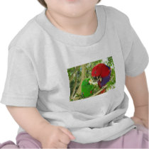 Eclectus Pair Shirts
