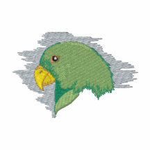 Eclectus Parrot