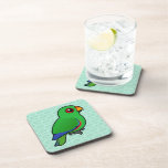 Eclectus Parrot male Beverage Coasters