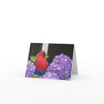 Eclectus Small Note Card