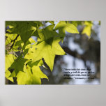 Eclesiastes 3:1 con Hojas Posters