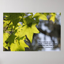 Eclesiastes 3:1 con Hojas Posters
