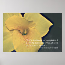Eclesiastés 7:9 Cartel Poster