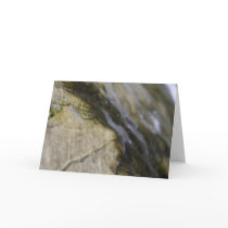 Eclipse Greeting Card